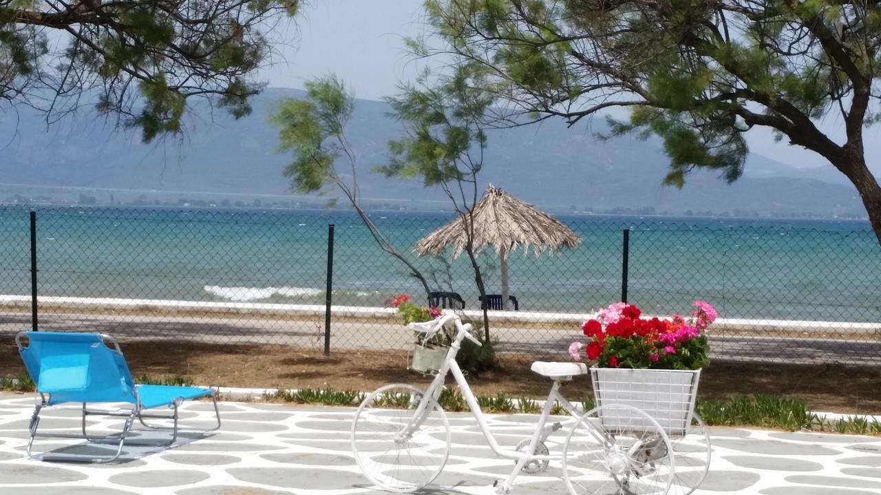 Villa Zoi Thronion エクステリア 写真