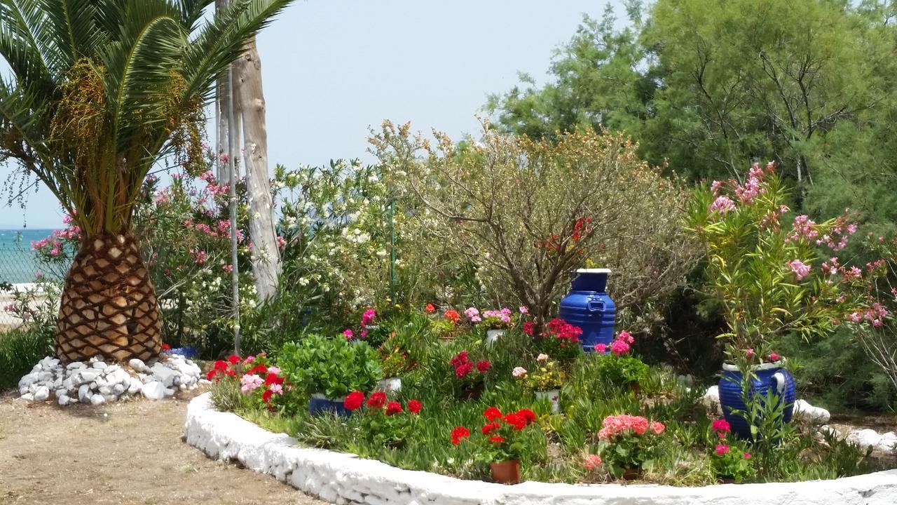 Villa Zoi Thronion エクステリア 写真